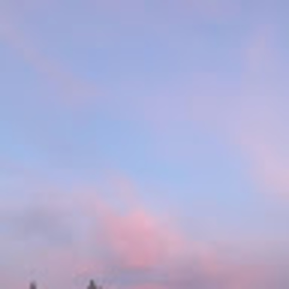 Meet your Posher, Itza